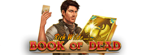 Book of Dead by Play n Go Slot review