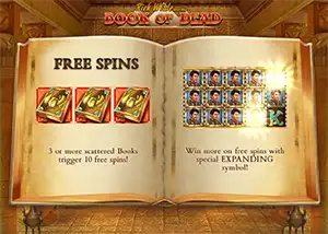 BookofDead - Number 1 best online slot in a lot of casinos