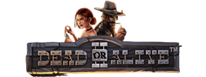 Dead or Alive 2 Slot review
