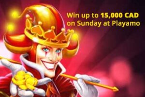 Win up to R$15,000 with the wheel of fortuna at Playamo casino