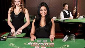 Live Dealers at a table game that is hosted real time
