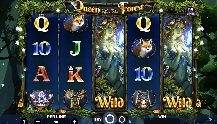 Queen of the Forest slot reviewed by CCHUB