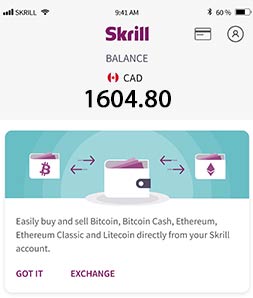 Guide to use Skrill for transactions  