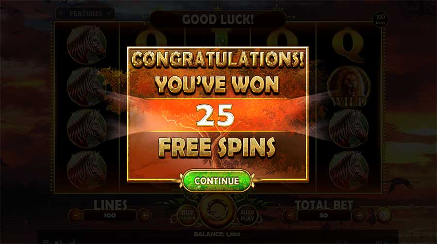 25 Free Spins in bonus round of the African Fortune video slot